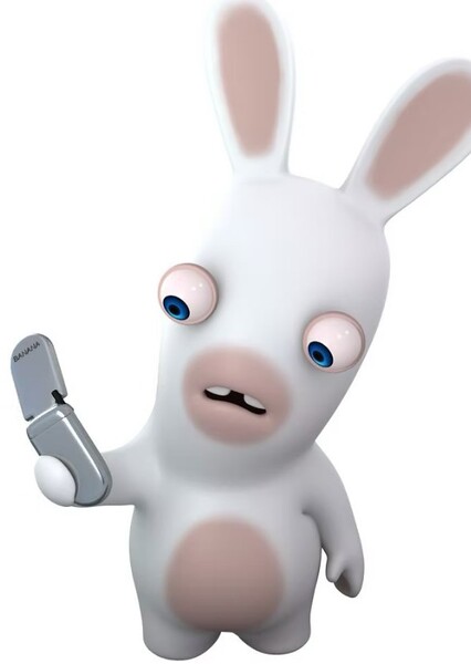 Rabbids photo