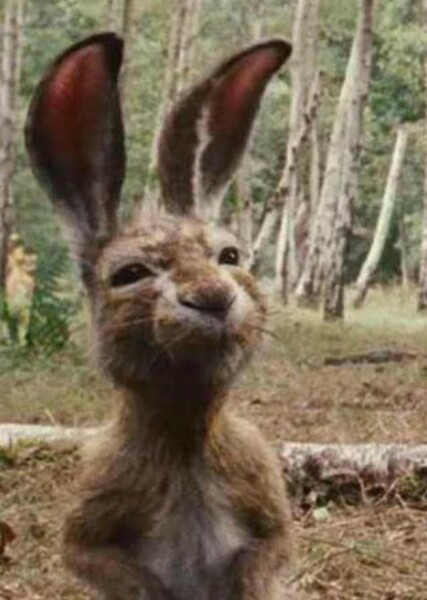 Rabbit (Winnie the Pooh) photo