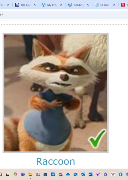 Raccoon (Thelma the Unicorn) photo