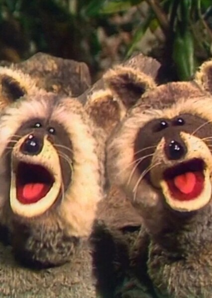 Raccoons (Muppets)