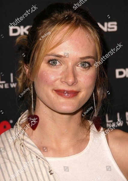 Rachel Blanchard photo