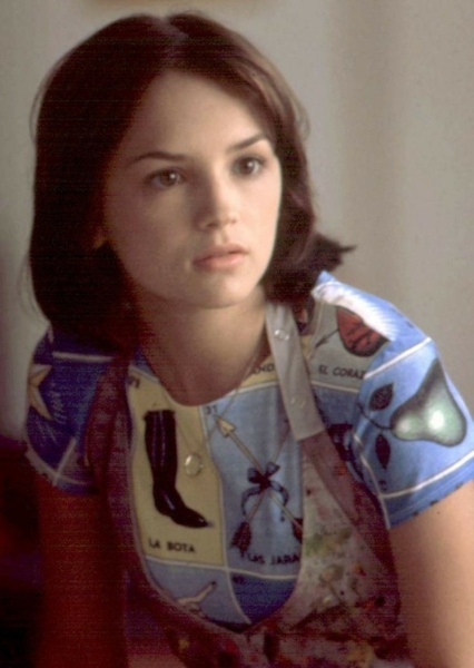 Rachel Leigh Cook photo