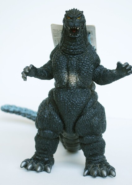 RadoGoji photo
