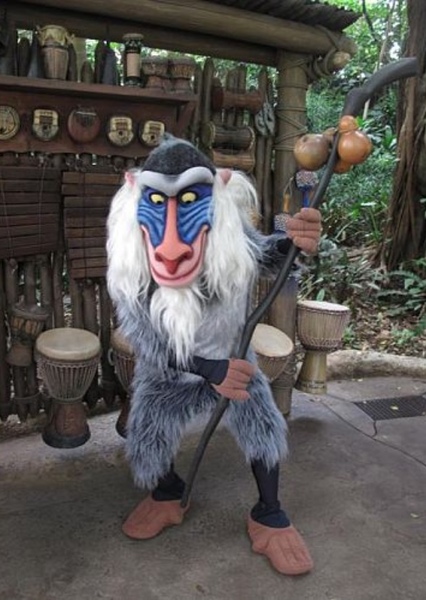 Rafiki photo