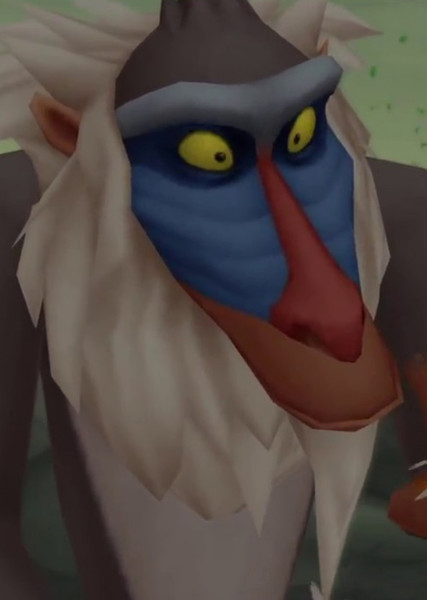 Rafiki photo