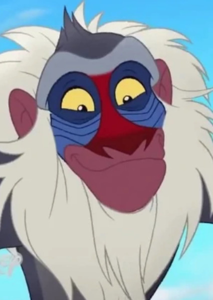 Rafiki photo