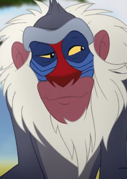 Rafiki photo