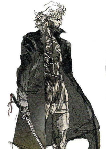 Raiden (Metal Gear) photo