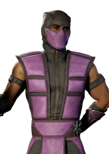The Ninja