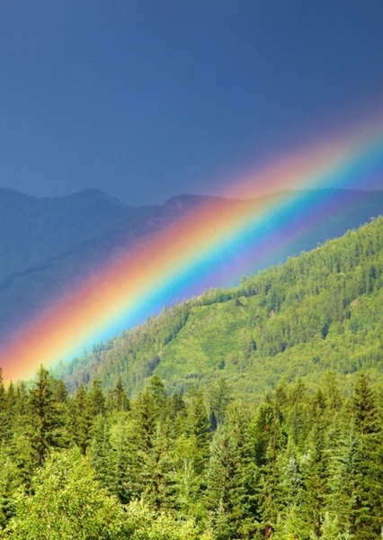 Rainbow photo