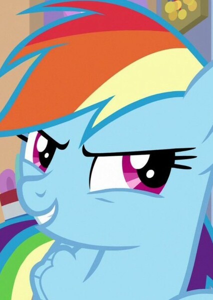 Rainbow Dash photo