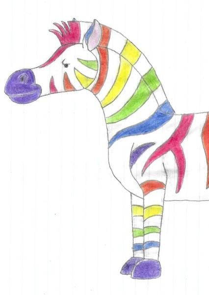 Rainbow Zebra