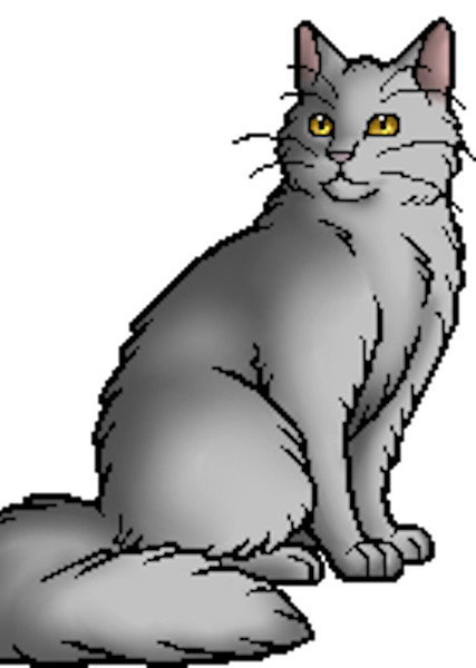Rainflower (Warrior Cats) photo
