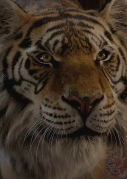 Rajah photo