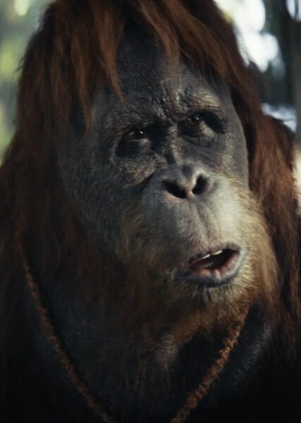 Raka (Planet of the Apes)
