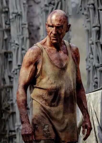 Ralph Fiennes photo