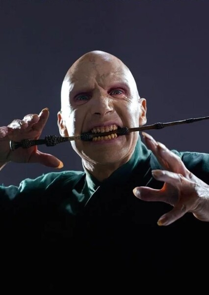 Ralph Fiennes photo