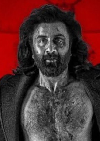 Ranbir Kapoor photo