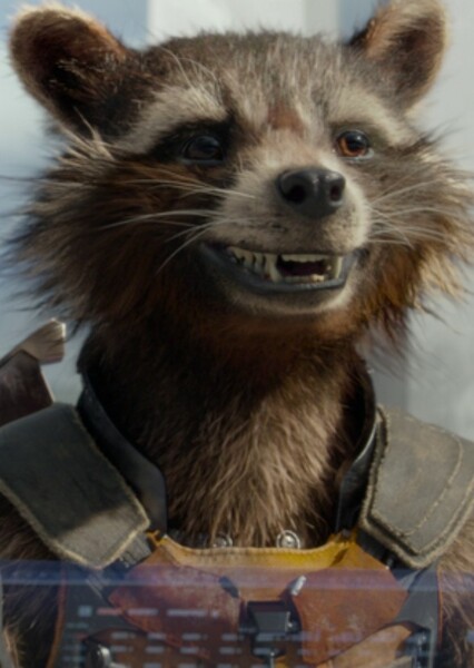 Randall the Raccoon photo