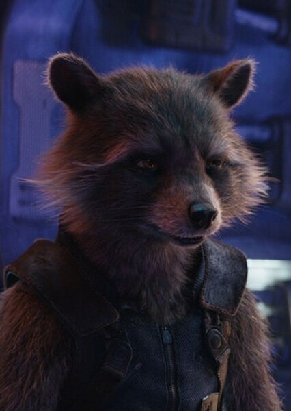 Randall the Raccoon photo