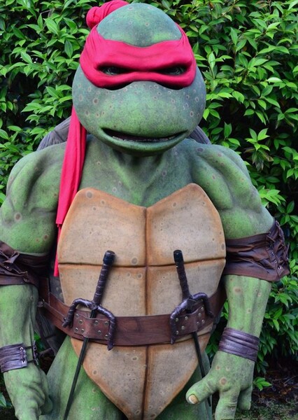 Raphael (TMNT) photo