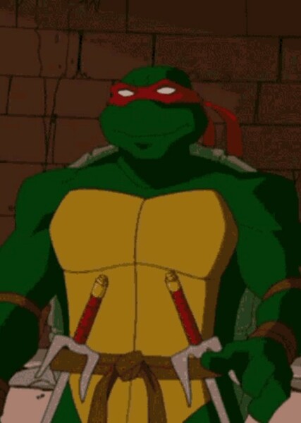 Raphael (TMNT 2003) photo