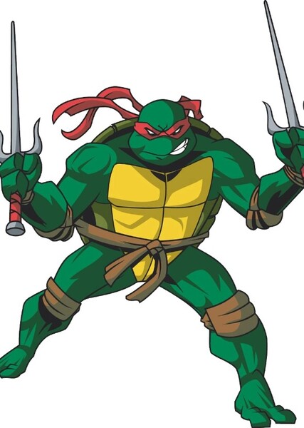 Raphael (TMNT 2003) photo