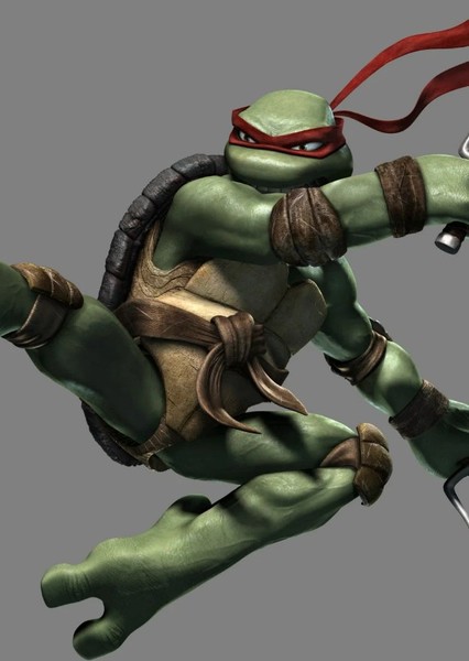 Raphael (TMNT 2007) photo