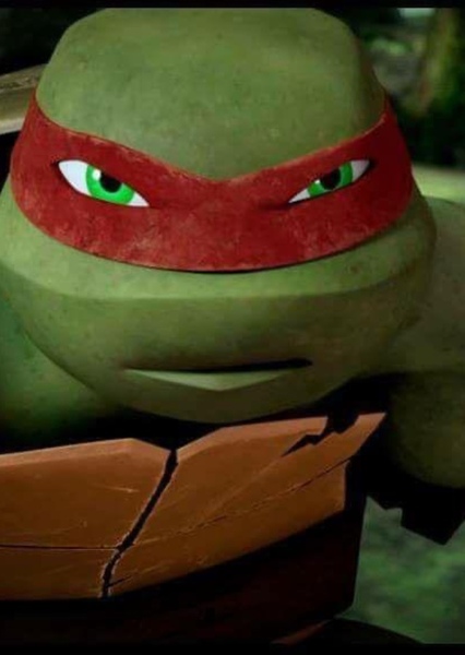 Raphael (TMNT 2012) photo
