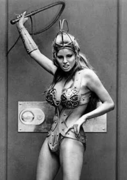 Raquel Welch photo
