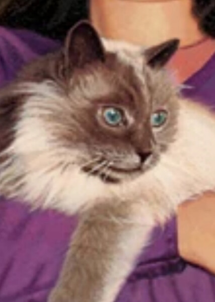 Rascal (American Girl)