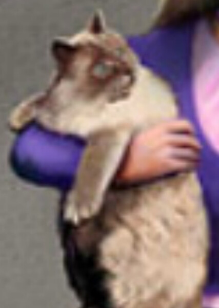 Rascal (American Girl) photo