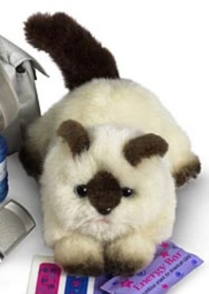 Rascal (American Girl) photo