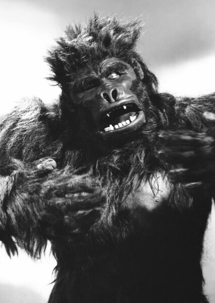 The Ape