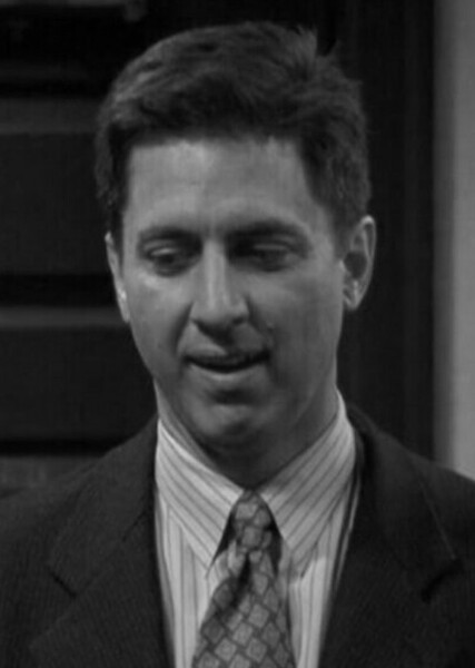 Ray Romano photo