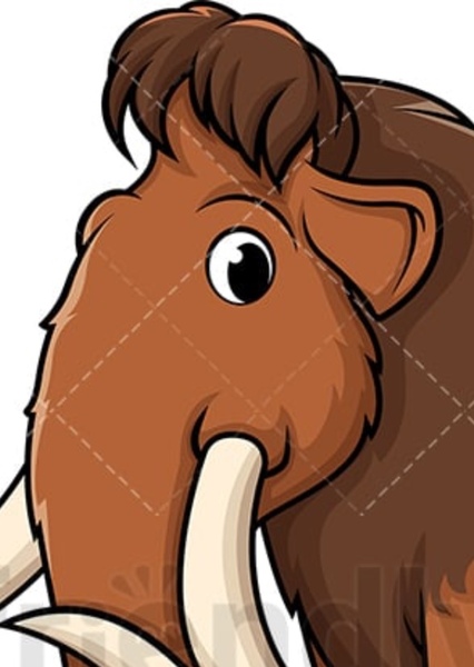 Ray Romano photo
