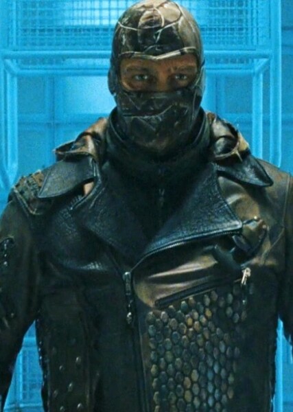 Ray Stevenson photo