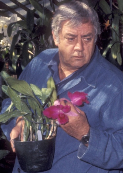Raymond Burr photo