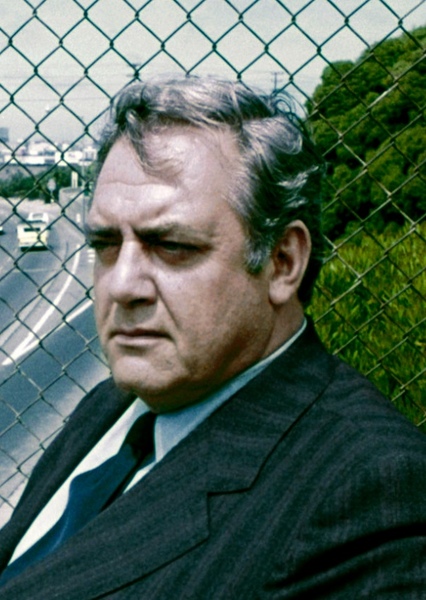 Raymond Burr photo