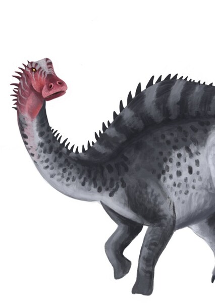 Rebbachisaurus photo