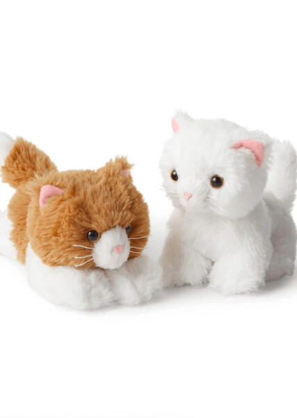 Rebecca Rubin's Kittens