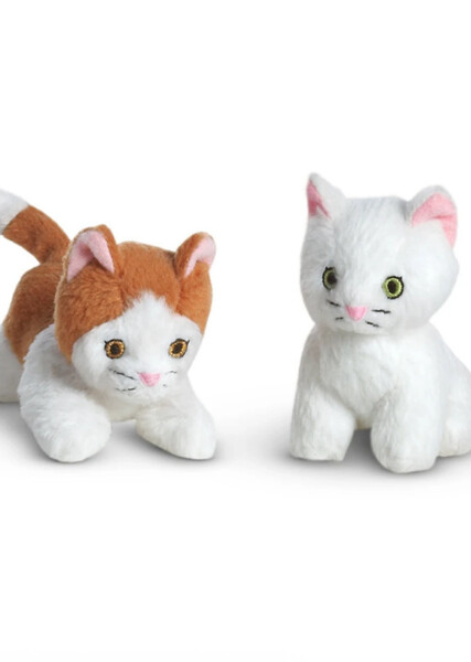 Rebecca Rubin's Kittens photo