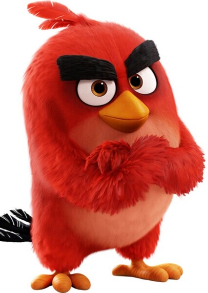 Red (Red Bird) photo