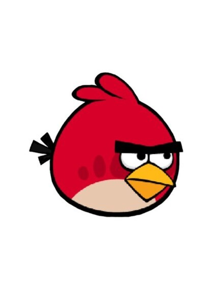 Red (Red Bird) photo