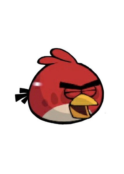 Red (Red Bird) photo