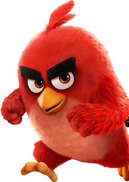 Red (Red Bird) photo