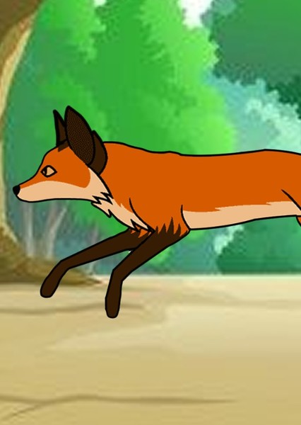 Red Fox photo