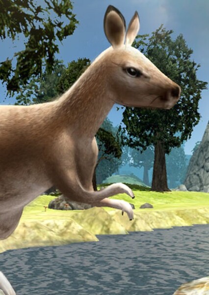 Red Kangaroo photo