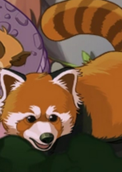 Red Panda photo