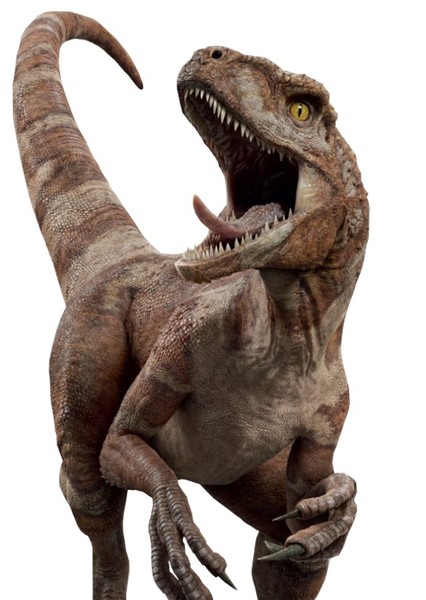 Red the Atrociraptor photo